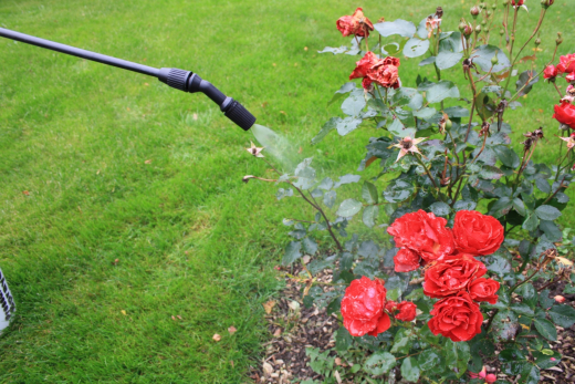 Drucksprühgerät 5 L