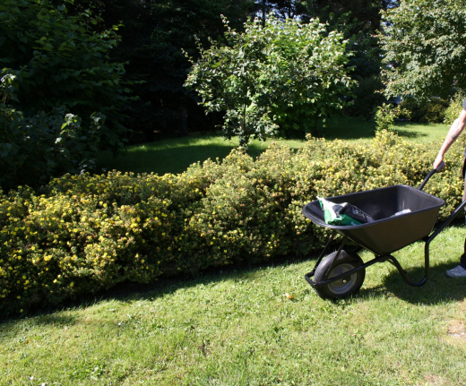 Trolla CARRY (Schubkarre m/Blasen frei PU Rad)