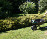 Trolla CARRY (Schubkarre m/Blasen frei PU Rad)